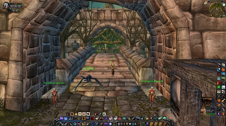 How to learn Expert First Aid (150 - 225 skill) (Alliance), WoW Classic - DayDayNews