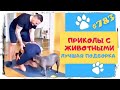 Смешные Животные 😁 Лучшая подборка за НЕДЕЛЮ 👍 Funny with Animals 😸