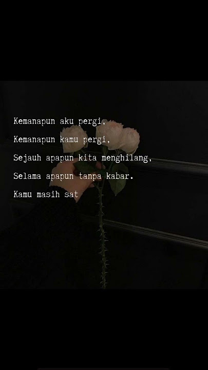 Tak Kan Hilang _ Budi Doremi #storywa #storywa30detik #story #storywagalau #sadsong #rindu #shorts