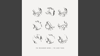 Pay No Mind - The Messenger Birds