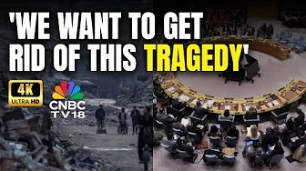 Palestinians Express Hope After UN Security Council Passes Gaza Resolution | N18G | 4K