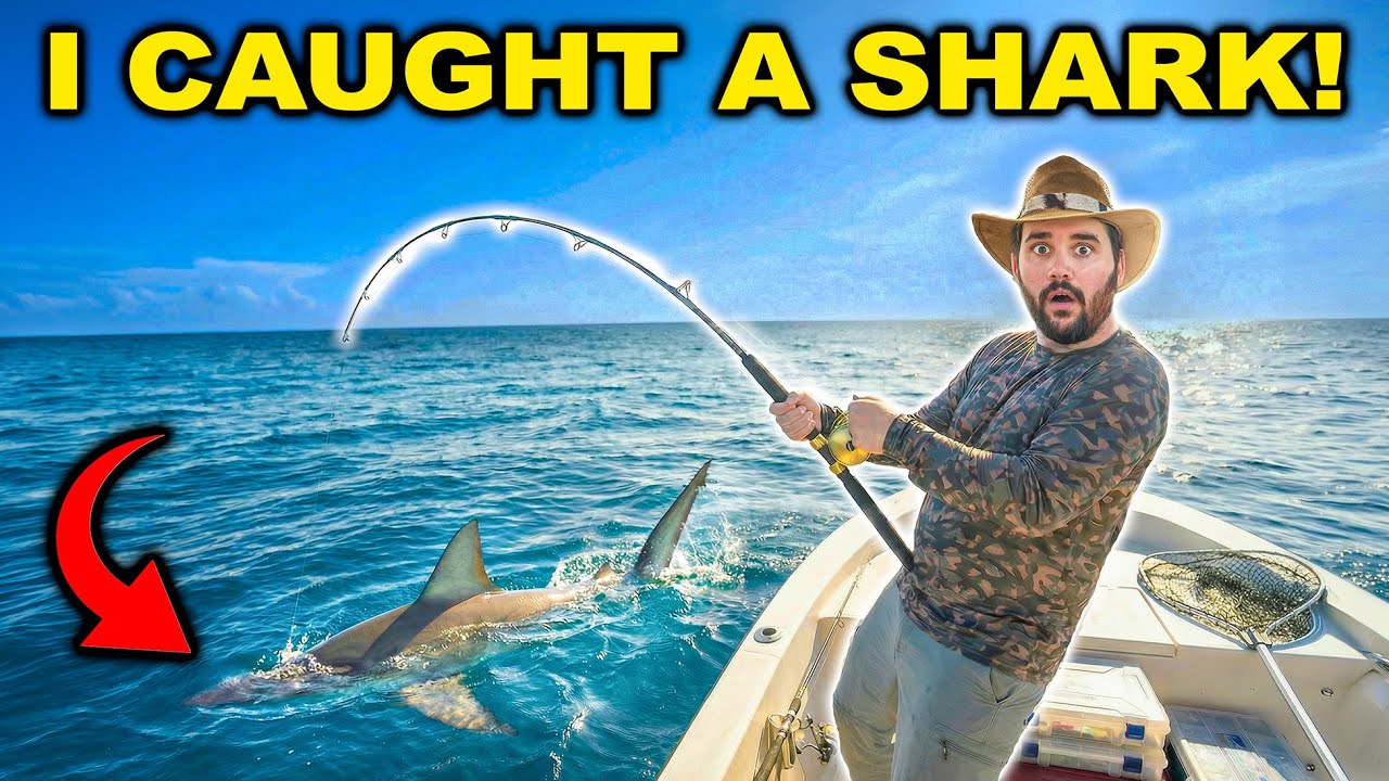 I ACCIDENTALLY Caught a SHARK!!! (Catch Clean Cook) 