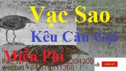 ( Miễn Phí ) Tiếng Vạc Sao Gọi Lưới Giăng | Tieng chim goc 1