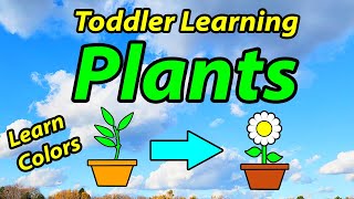 Learn Plant Lifecycle - Educational Videos for Kids | Kindergarten Learning Preschool Toddler Videos