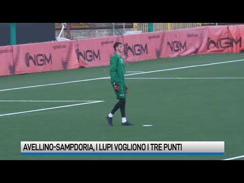 Video Avellino-Sampdoria: i lupi vogliono i tre punti. Le probabili