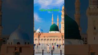 Kah dena sarkar se salaam hamara #jannat #islam #facts 351