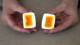 The Egg Q-ber