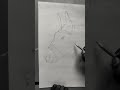 horse sketch outline #shorts