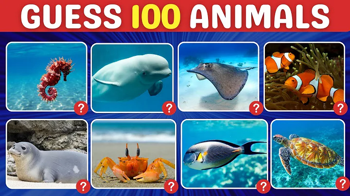 Guess 100 Sea Animals in 3 Seconds 🐬🦑 | Easy, Medium, Hard, Impossible