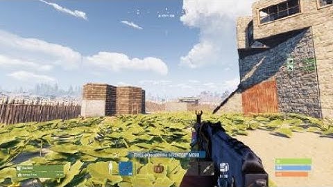 How to free look in Rust console