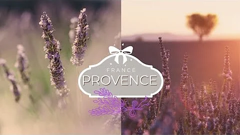 Lavender fields in PROVENCE, FRANCE | Plateau de Valensole - DayDayNews