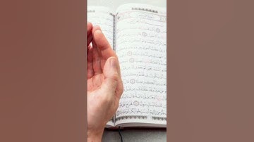 من أجمل ما قرأ القارئ أمين موسى. ج١٤١