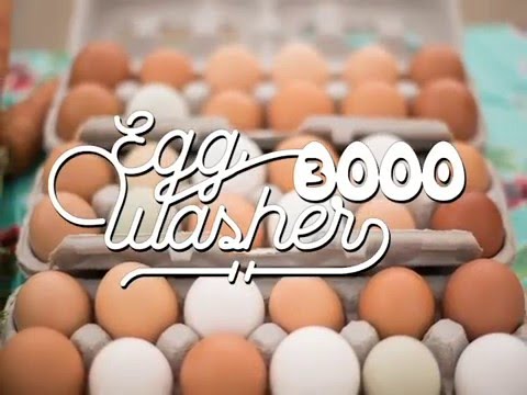 Egg Washer 3000 