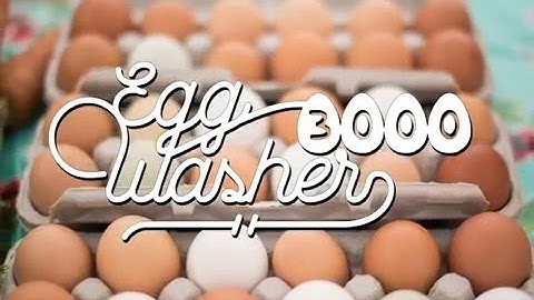 Egg Washer 3000