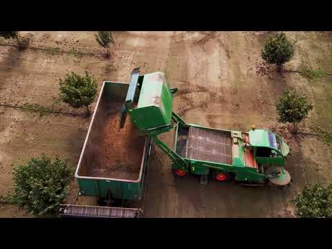 Monchiero Walnuts Harvester ITALY - კაკლის მოსავლის ამღები მანქანები/კაკლის კომბაინი/კაკლის საბერტყი