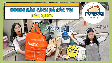 PHÂN LOẠI RÁC Ở HÀN QUỐC – NHỮNG ĐIỀU CẦN BIẾT ĐỂ KHÔNG BỊ MẤT TIỀN OAN | 한국에서 쓰레기 분리법