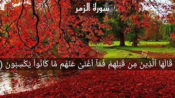(ولو أن للذين ظلموا مافي الأرض جميعا ....) سورة الزمر  القارئ إسلام صبحي