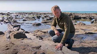 New Zealand's EPIC Landscapes and Geology!