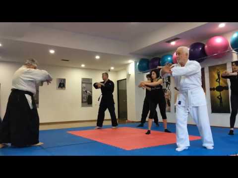 აიკიბუდო კლუბი,  25 იანვარი 2017