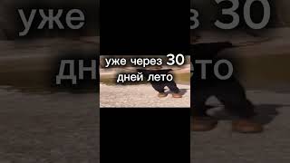 Ураааа #anime #minecraft #залити #brawlstars #ефуroblox