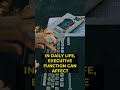 The behavior pattern behind Executive Function