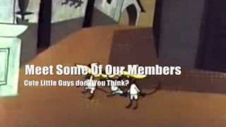 The Pied Piper Of No Way Afa Part 1