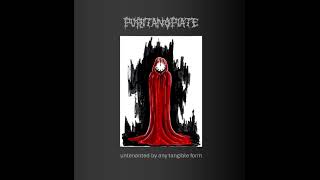 Puritan Opiate - Untenanted by any Tangible Form
