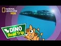Tylosaurus Adventure and Facts