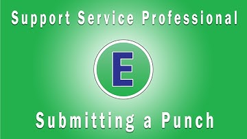 Support Service Professional - Submitting a punch