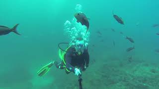 Super Oleg dive around Cano Island, Costa Rica