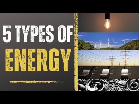 Video: Hvilken type energitransformasjon skjer i fotosyntesequizlet?