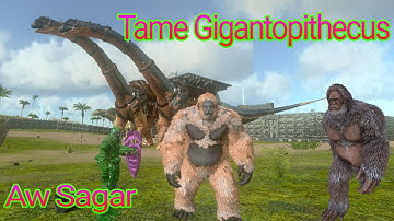 How To Tame Gigantopithecus