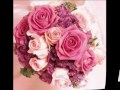 مبروك فاطمة Wmv مبروك فاطمة Wmv