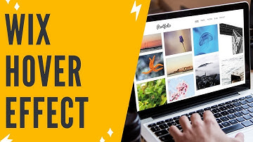 Wix-afbeelding wijzigen bij hover: Wix Image Hover Effect-zelfstudie (eenvoudig)