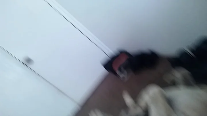 Best dog EVER