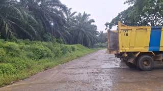 Hujan pagi diperumahan sawit