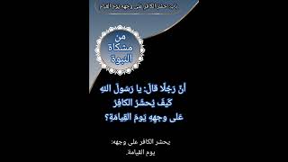 قالَ يا رَسُولَ اللهِ كَيفَ يُحشَرُ الكافِرُ عَلى وجهِهِ يَومَ القِيامَةِ؟