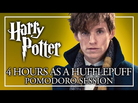🦡4 HOURS AS