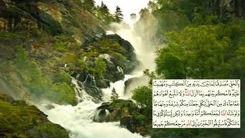 صفحة-116 page سعد الغامدي - -سورةالمائدة -Al-Maidaa