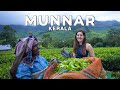 Munnar suryanelli kerala in the monsoon the best vlog ive ever made  weekendtrips india