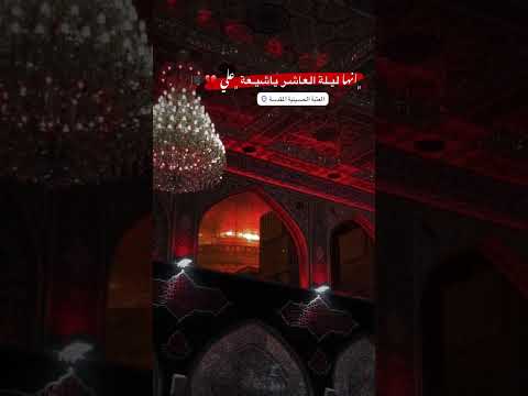 شلون بينه باجر منين نجيب الحيل للضهرية