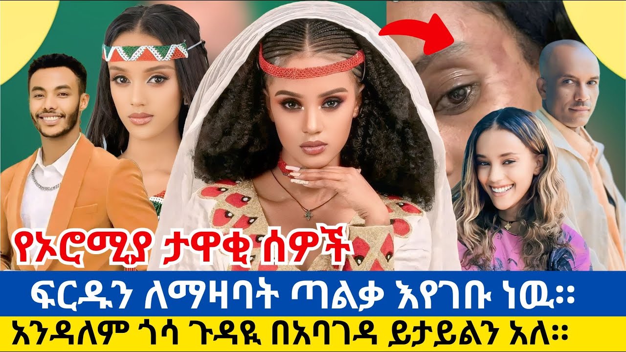 የአንዷለም ጎሳን የፍርድ ሂደት እና ዉሳኔ ለማዛባት የሚጥሩ እዳሉ ተነገረ ።Andualem Gosan appeared in court.