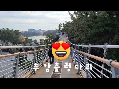 삼척 여행 어디로 갈까 고민중?