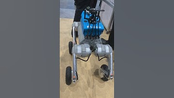 完成度高いロボット犬