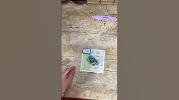 Creating a trellis card