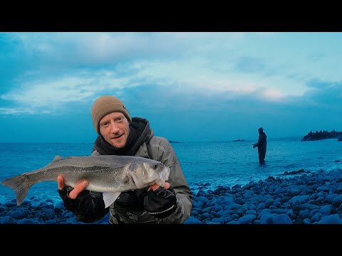 TOP WATER FISHING 