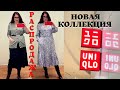 UNIQLO НОВАЯ КОЛЛЕКЦИЯ и РАСПРОДАЖА / БАЗОВЫЙ ГАРДЕРОБ на зиму, Пуховики, Пальто и Свитера на сейле