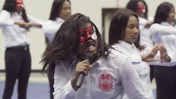 RECAP: Delta Sigma Theta // Alpha XI // Spring 18 Neophyte Presentation