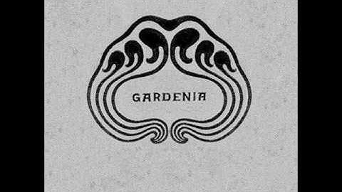 Gardenia - Ung, Begavet og Hvid