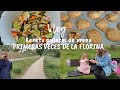 Elaia se va de excursión + receta galletas de avena 🍪 | Vlog diario Nere Nerea